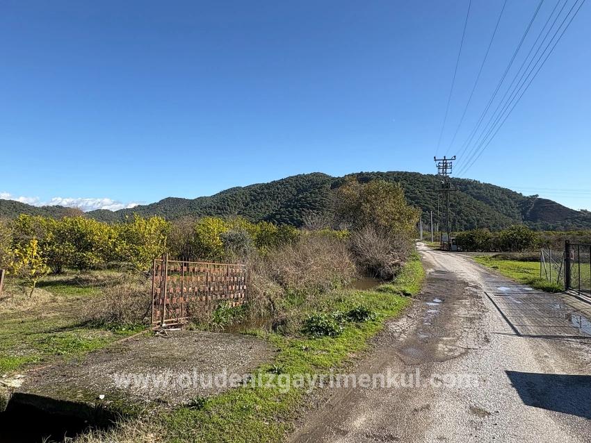 Feld Zu verkaufen in Tepearası Bz. Ortaca - Weinberg & garten-Zonierung - 23.000 m²