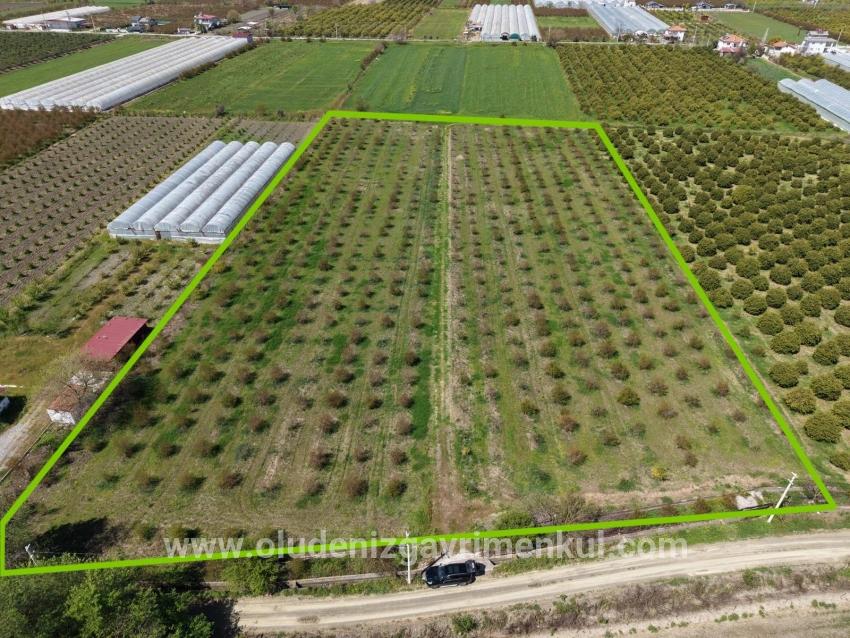 Feld Zu verkaufen in Eskiköy Bz. Ortaca - Feld-Zonierung - 16.000 m²