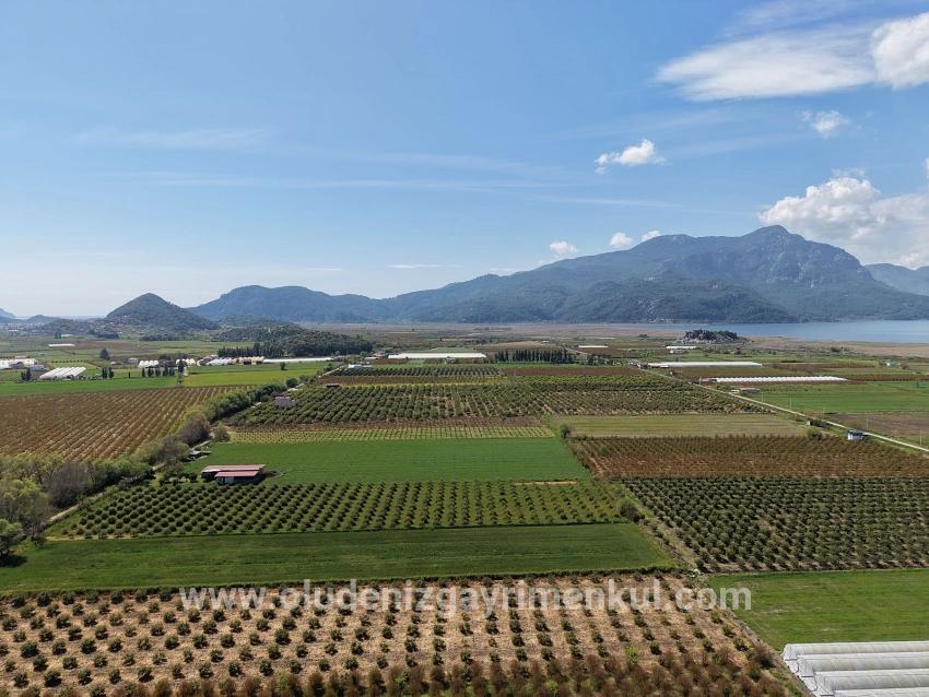 Feld Zu verkaufen in Eskiköy Bz. Ortaca - Feld-Zonierung - 16.000 m²