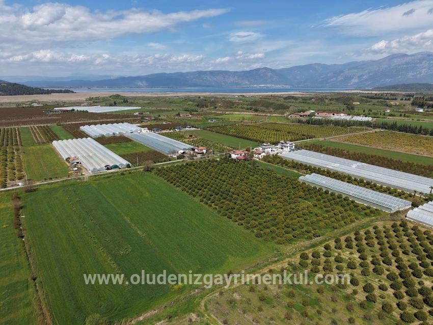 Feld Zu verkaufen in Eskiköy Bz. Ortaca - Feld-Zonierung - 16.000 m²