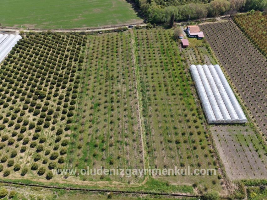 Feld Zu verkaufen in Eskiköy Bz. Ortaca - Feld-Zonierung - 16.000 m²