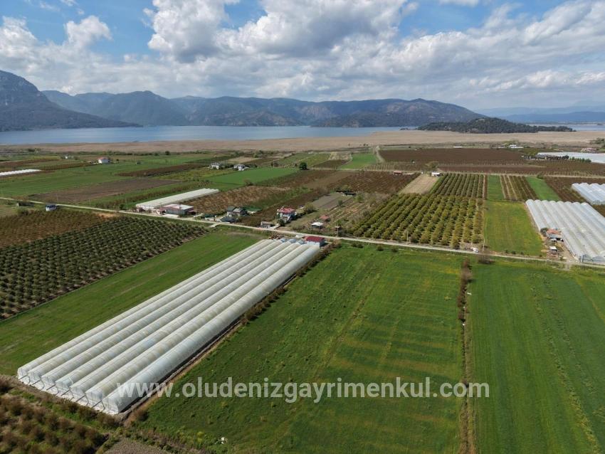Feld Zu verkaufen in Eskiköy Bz. Ortaca - Feld-Zonierung - 16.000 m²