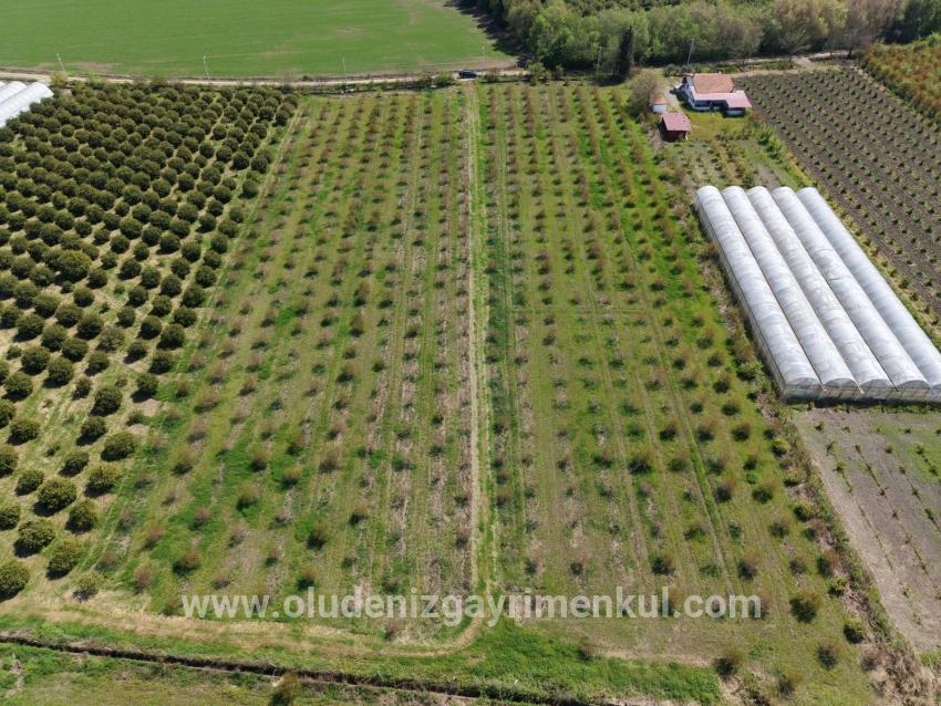 Feld Zu verkaufen in Eskiköy Bz. Ortaca - Feld-Zonierung - 16.000 m²