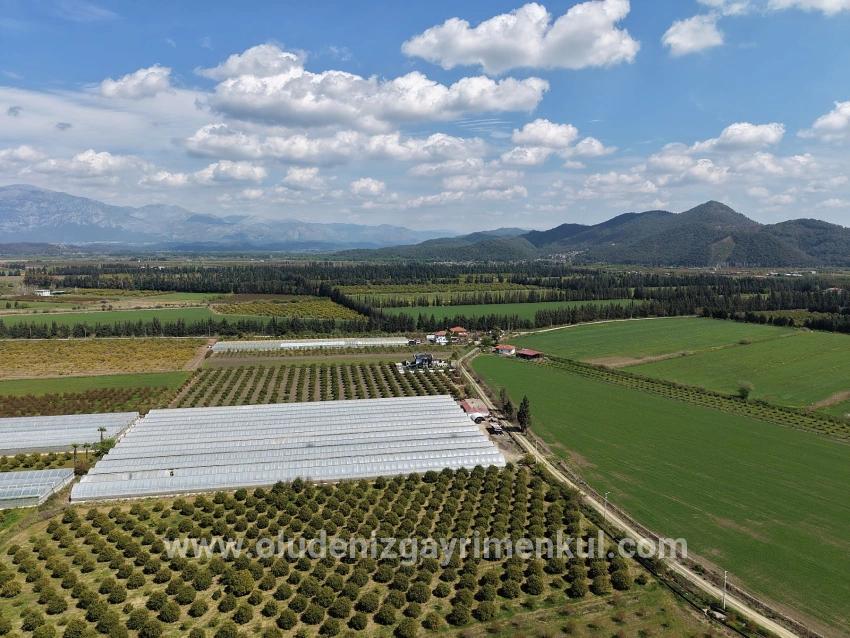 Feld Zu verkaufen in Eskiköy Bz. Ortaca - Feld-Zonierung - 16.000 m²