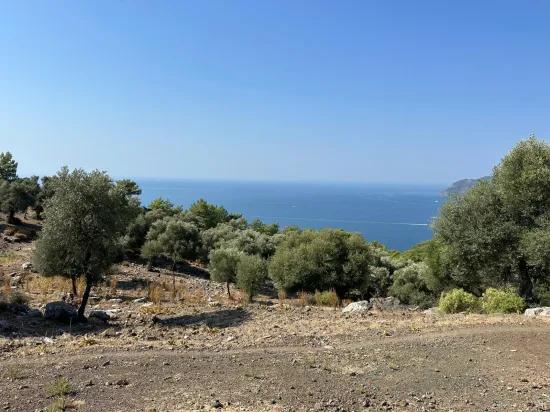 In Çandır mit Meerblick 21.000 m2 zu verkaufen 2b Feld