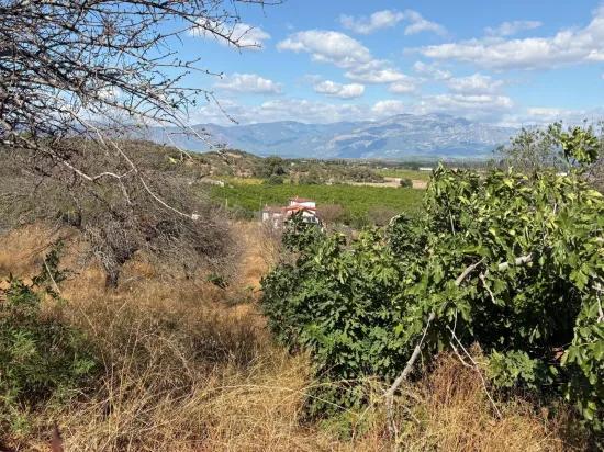 In Dalyan Karadağ Seeblick 5.000m2 zu verkaufen Acker