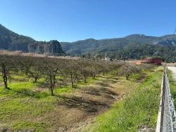 Land Zu verkaufen in Dalyan Bz. Ortaca - Gehäuse-Zonierung - 5.985 m²