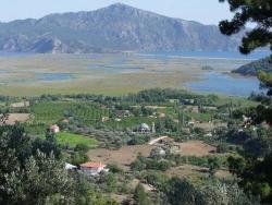 Feld Zu verkaufen in Çandır Bz. Köyceğiz - Feld-Zonierung - 19.334 m²