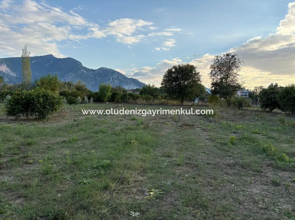 7.450M2 Land Zum Verkauf In Der Nähe Des Zentrums Von Dalyan
