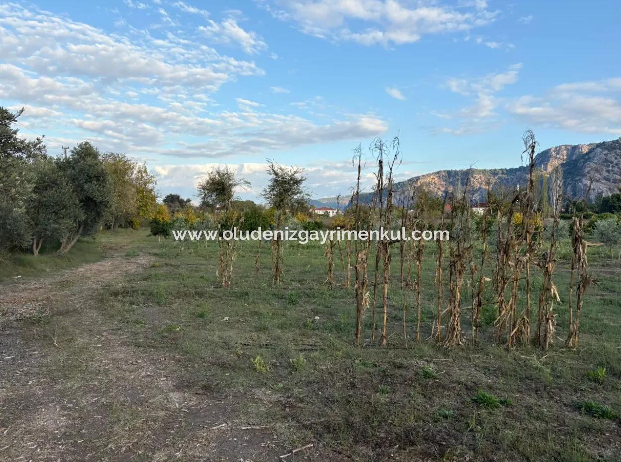 7.450M2 Land Zum Verkauf In Der Nähe Des Zentrums Von Dalyan