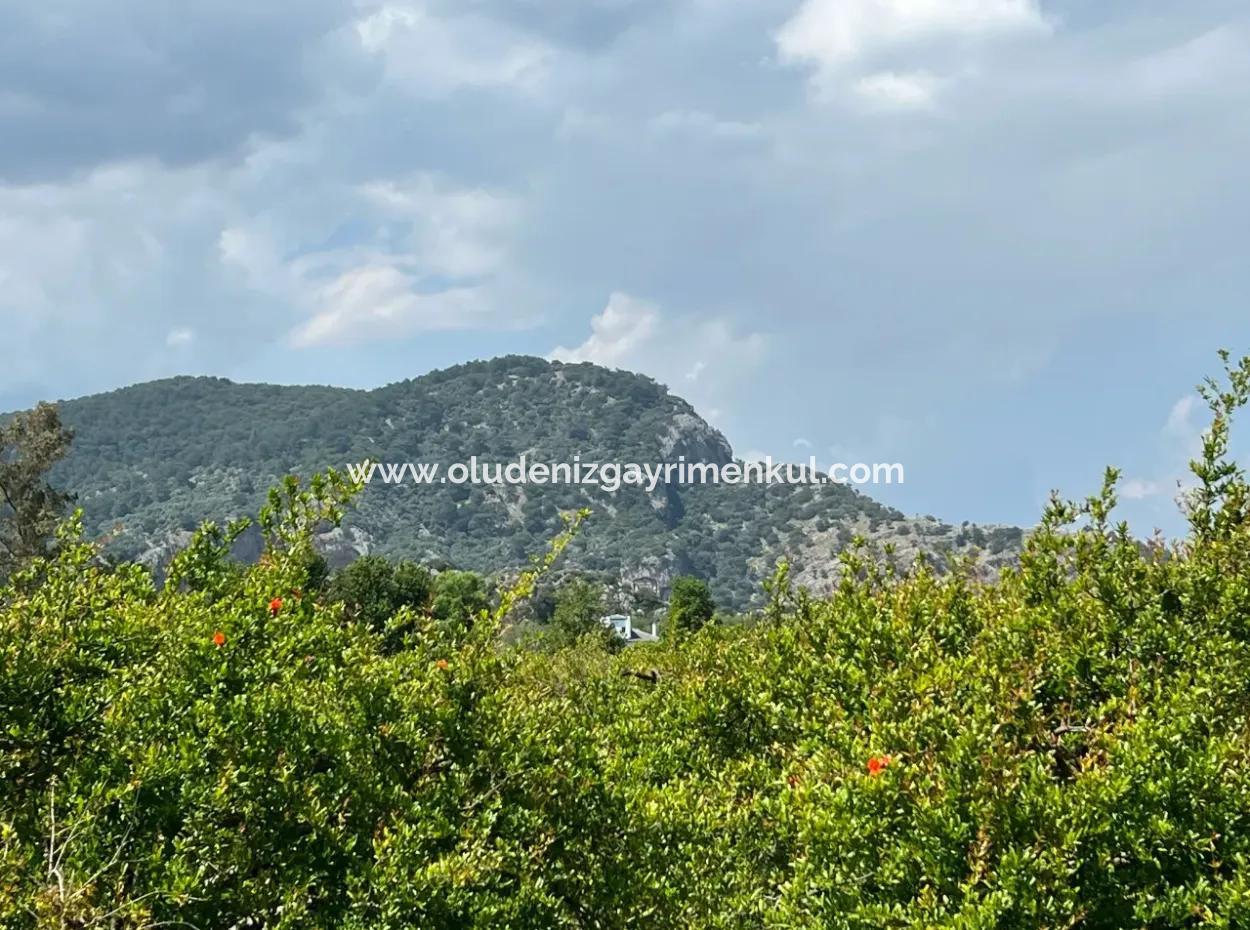 5.100 M2 Land Zum Verkauf In Der Gegend Von Dalyan Maraş Mit 5% Wohnzone