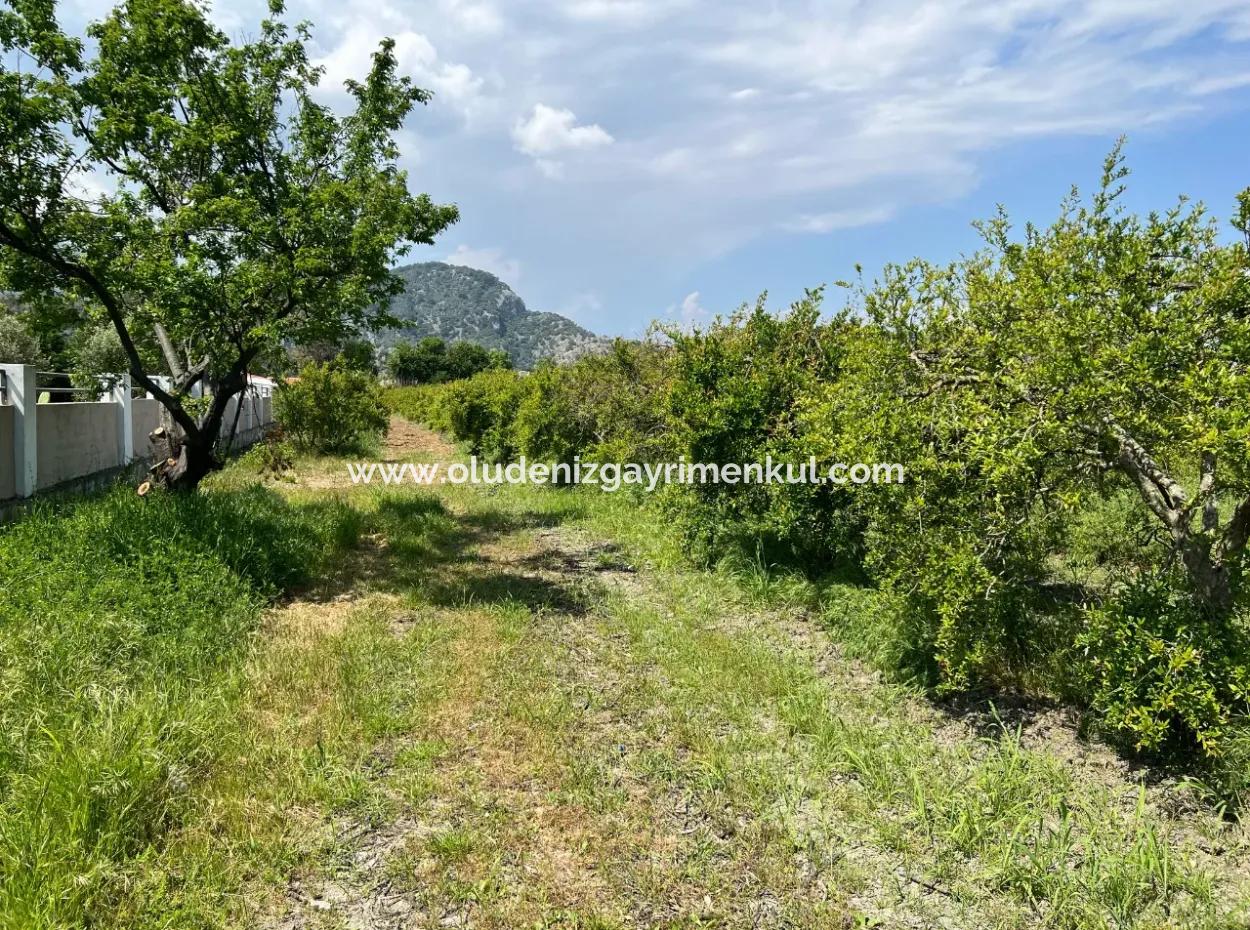 5.100 M2 Land Zum Verkauf In Der Gegend Von Dalyan Maraş Mit 5% Wohnzone