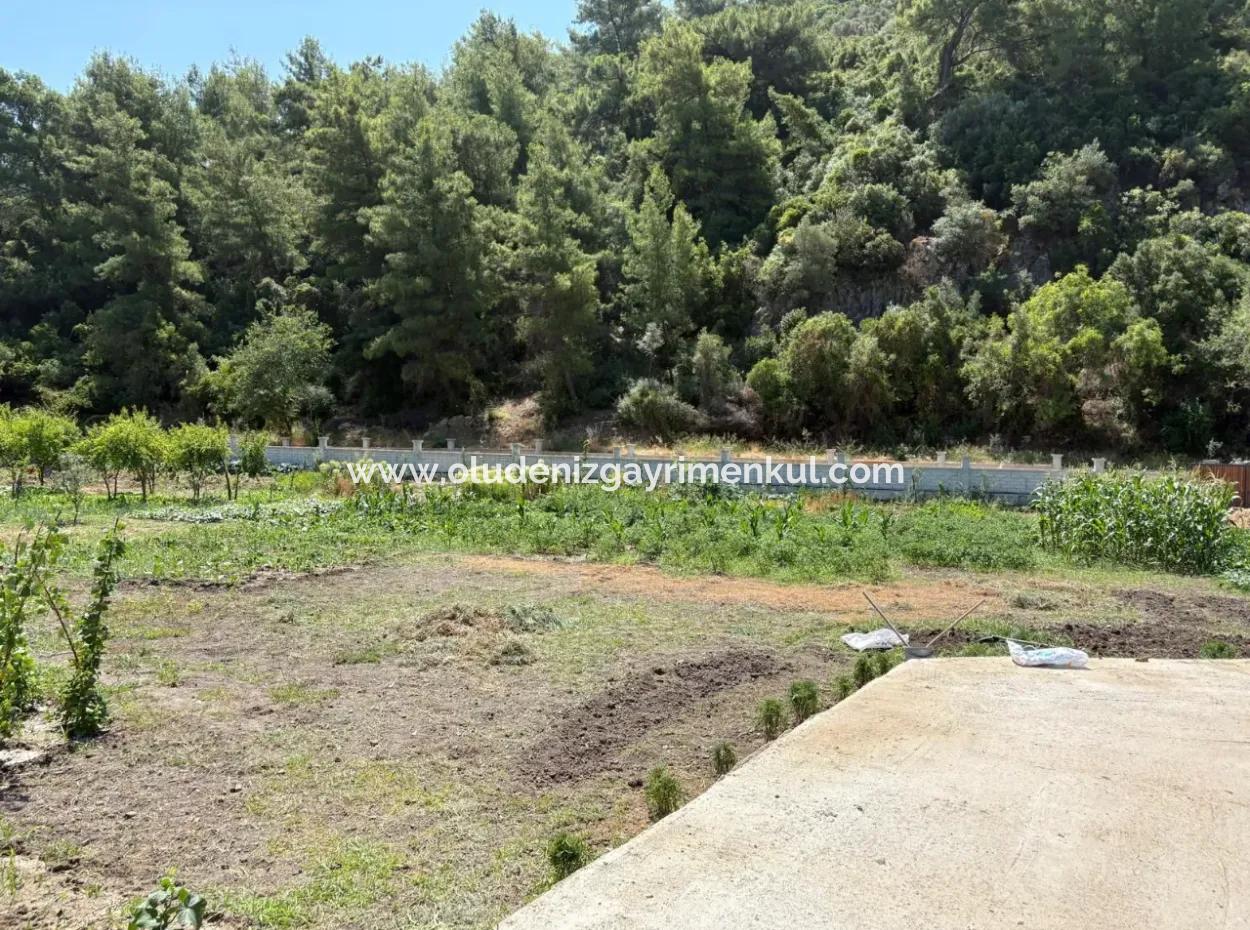 120M2 Freistehendes Holzhaus Auf Einem 2500M2 Großen Feld In Dalyan Karadağ
