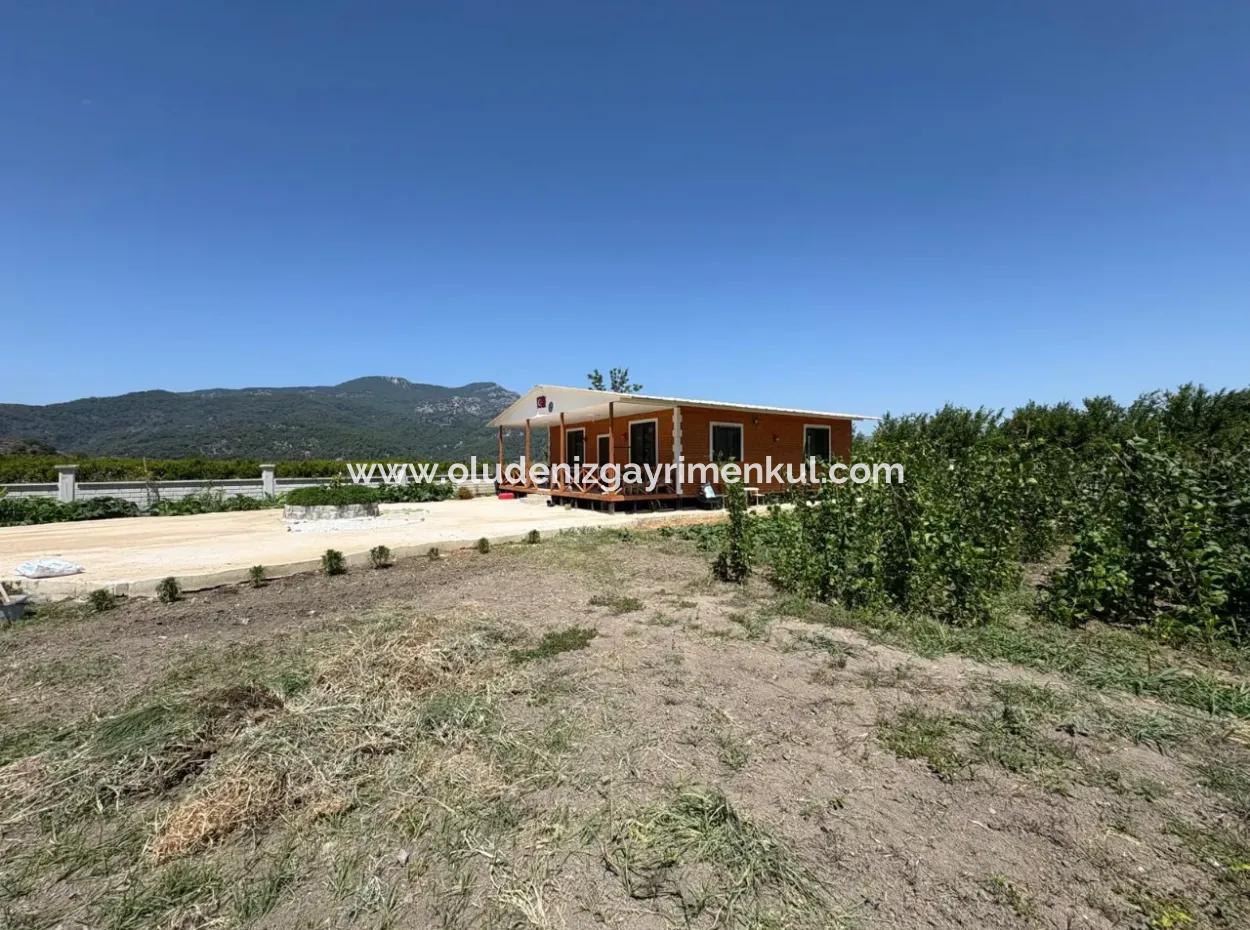120M2 Freistehendes Holzhaus Auf Einem 2500M2 Großen Feld In Dalyan Karadağ