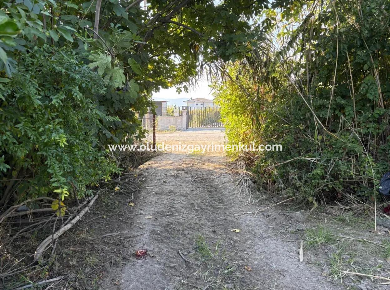 6150M2 Zitronen- Und Granatapfelgarten Zum Verkauf In Eskiköy