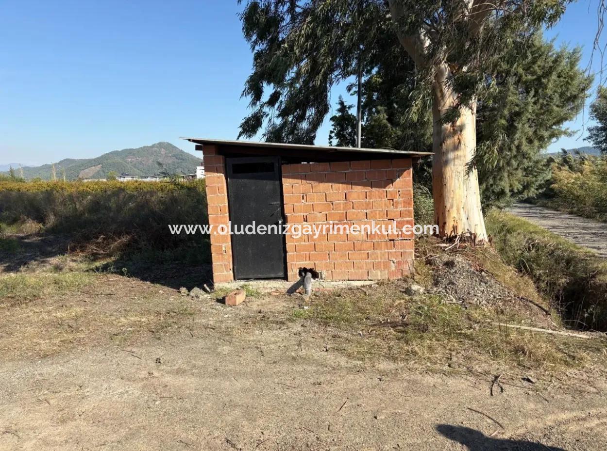 21500M2 Granatapfelgarten Zum Verkauf In Eskiköy