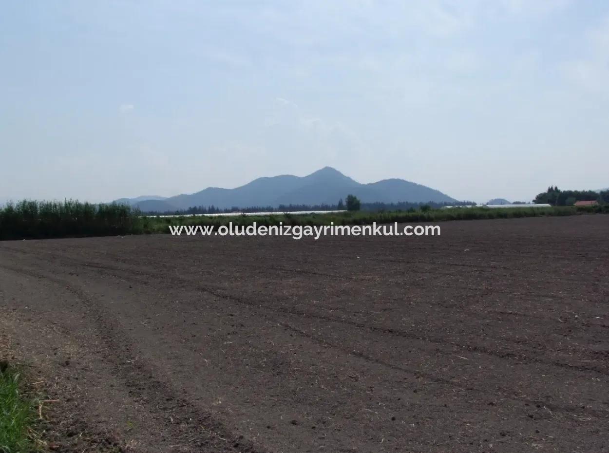 Bauernhof Zum Verkauf In Dalyan Eskikoy Eskikoy Oriya 14,900M2 Grundstück Zu Verkaufen Feld