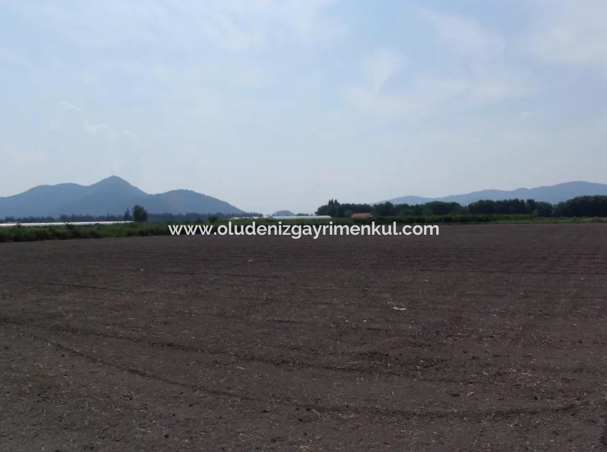 Bauernhof Zum Verkauf In Dalyan Eskikoy Eskikoy Oriya 14,900M2 Grundstück Zu Verkaufen Feld