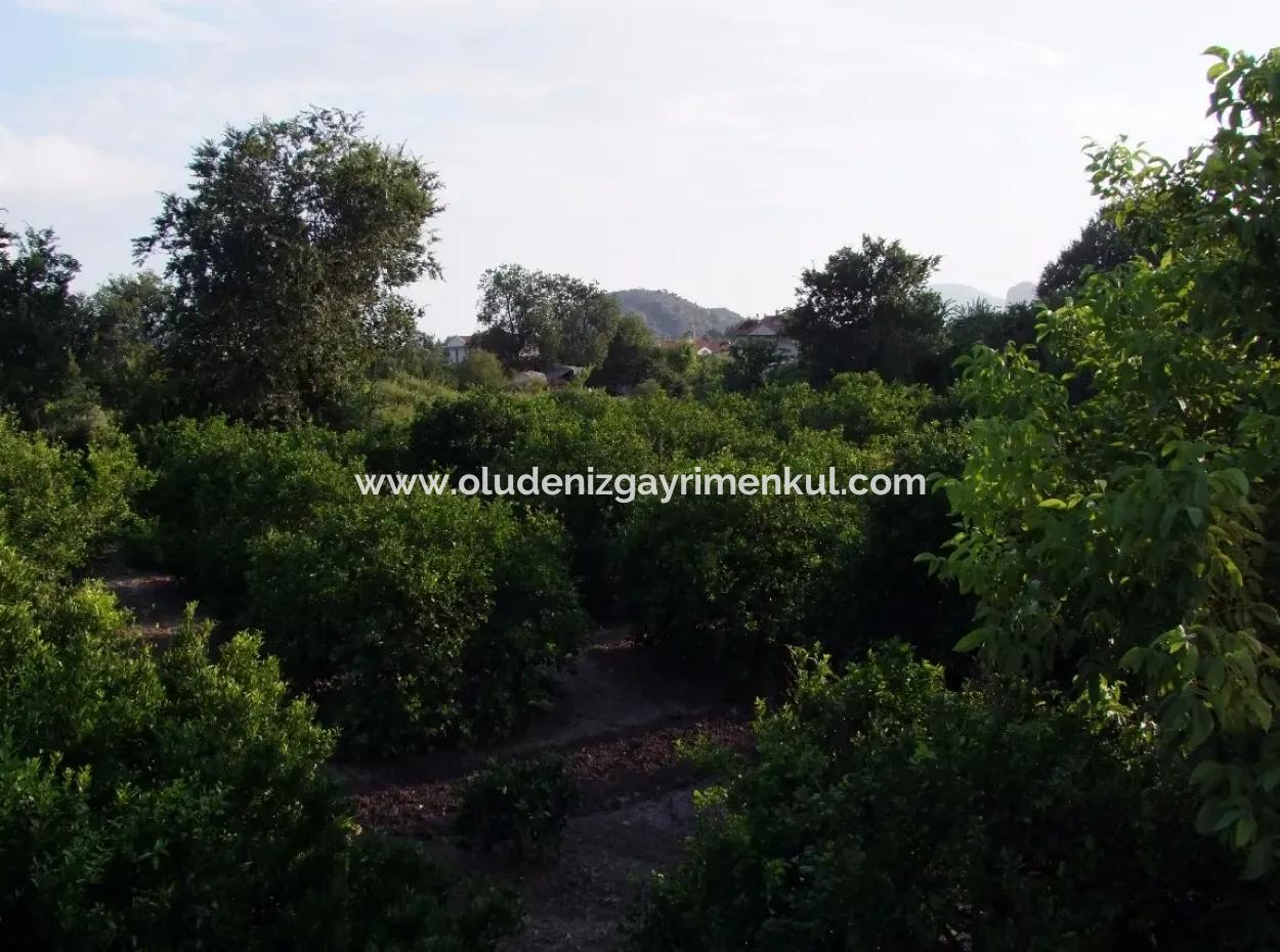 Nahe Dem Zentrum Von Dalyan In Dalyan Grundstück Für Verkauf Zum Verkauf 987M2