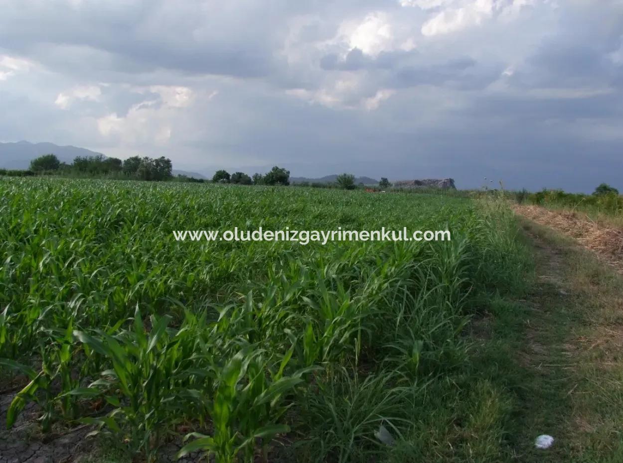 Bauernhof Zum Verkauf In Der Nähe Des Zentrums Von Dalyan,14, 612M2 Bauernhof Zum Verkauf