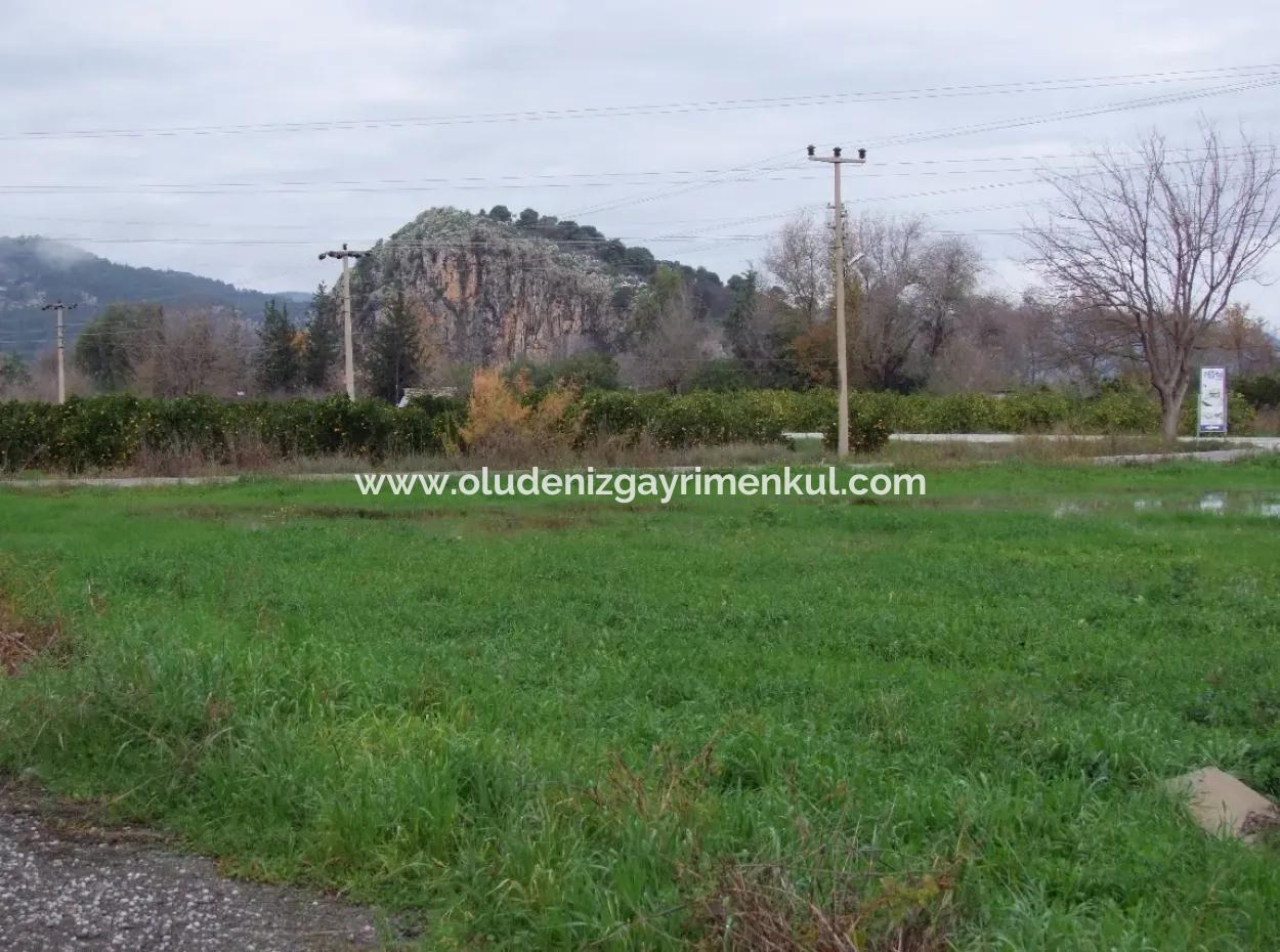 Gulpinar Dalyan Dalyan Zum Verkauf In 1002M2 Grundstück Für Verkauf Zum Verkauf Eckstein