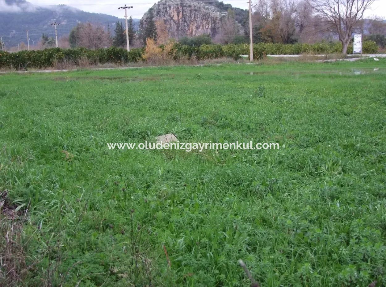 Gulpinar Dalyan Dalyan Zum Verkauf In 1002M2 Grundstück Für Verkauf Zum Verkauf Eckstein
