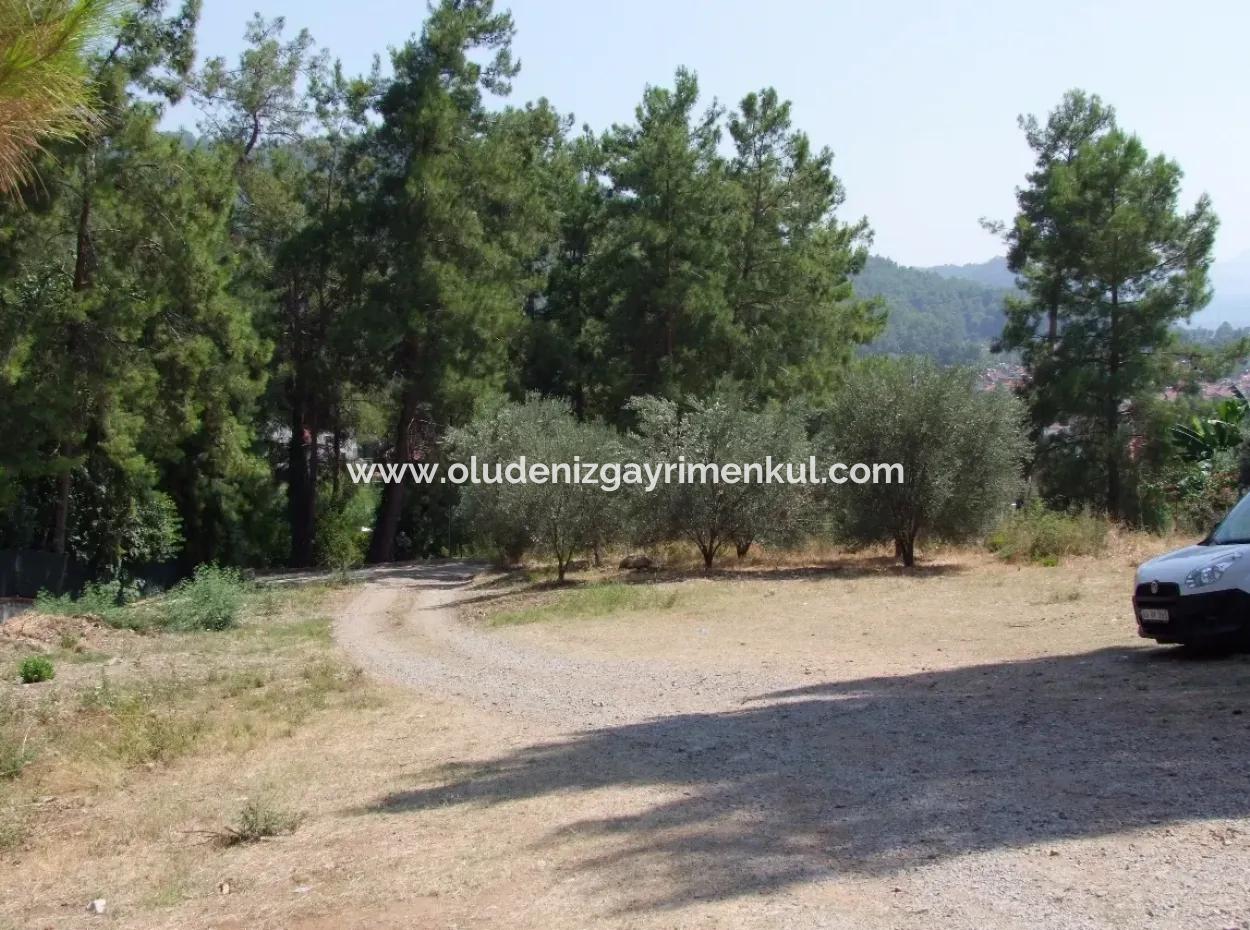 Land Zu Verkaufen In Gocek Fethiye Göcekde 2017M2 Land Zum Verkauf Mit Full Sea View