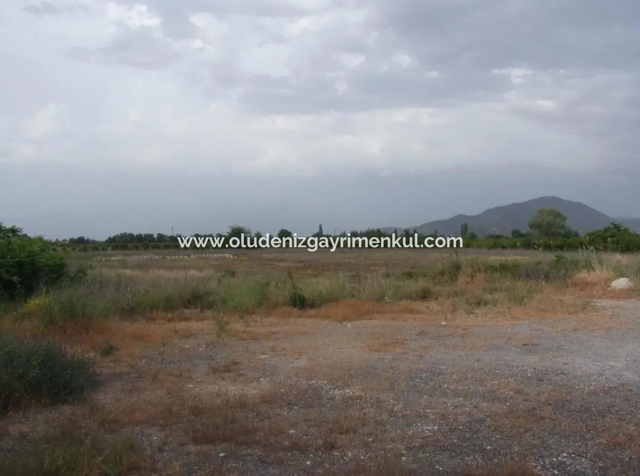 Kommerzielles Grundstück Für Verkauf In Dalyan, Dalyan Sie Auf Dem Highway 17,805M2 Grundstück Zum Verkauf Schnäppchen