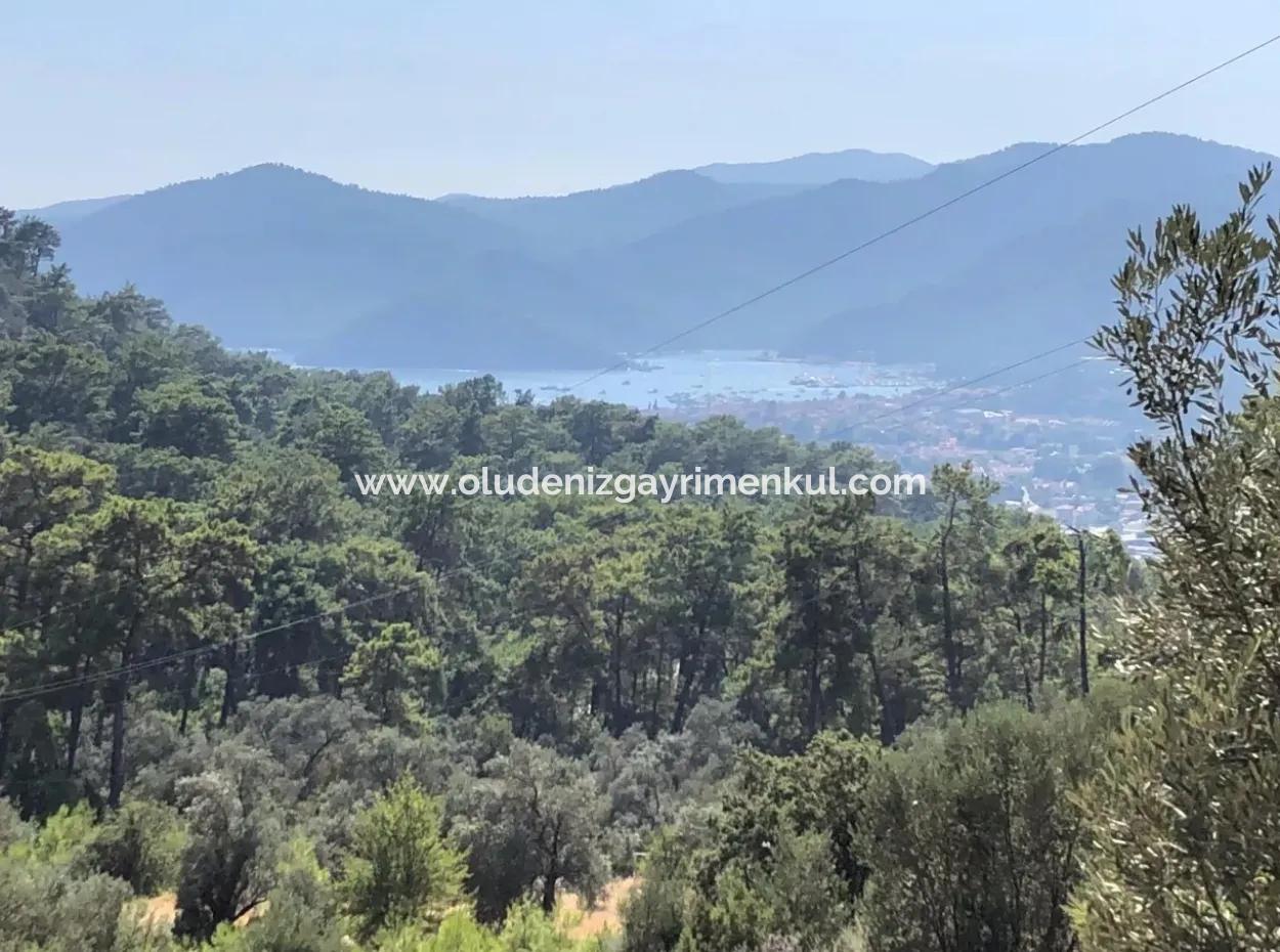 Tourismus-Zonen Grundstücke Zum Verkauf In Göcek Mit Meerblick Zum Verkauf In Gocek