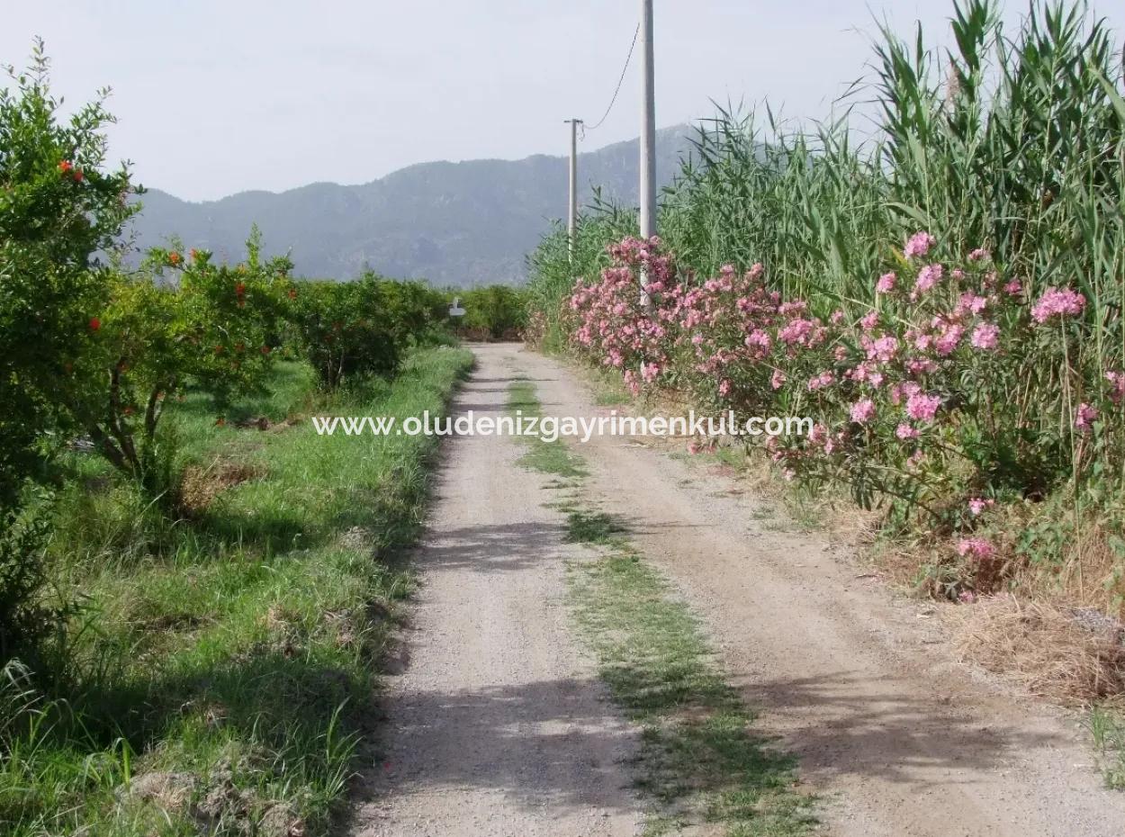 Merkez Dalyan Iztuzu See-Garten-Villa Zum Verkauf