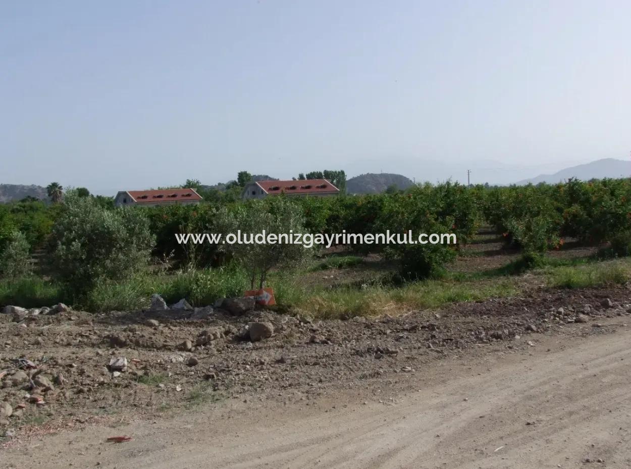 Merkez Dalyan Iztuzu See-Garten-Villa Zum Verkauf