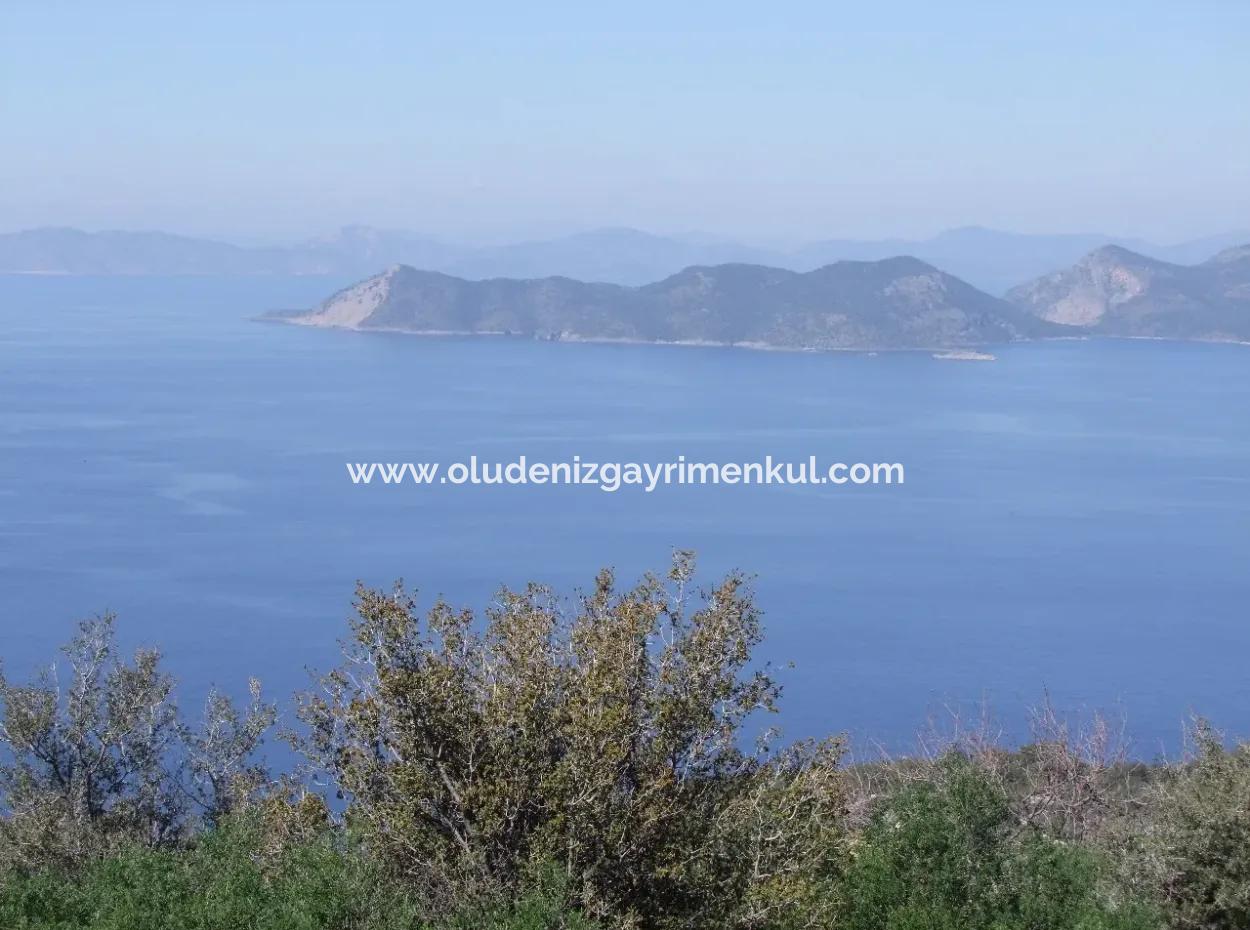 Land Zum Verkauf In Faralya Mit Vollem Meerblick Zum Verkauf