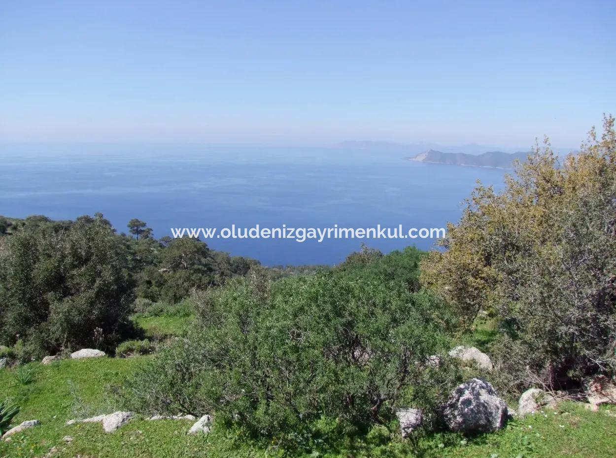 Land Zum Verkauf In Faralya Mit Vollem Meerblick Zum Verkauf