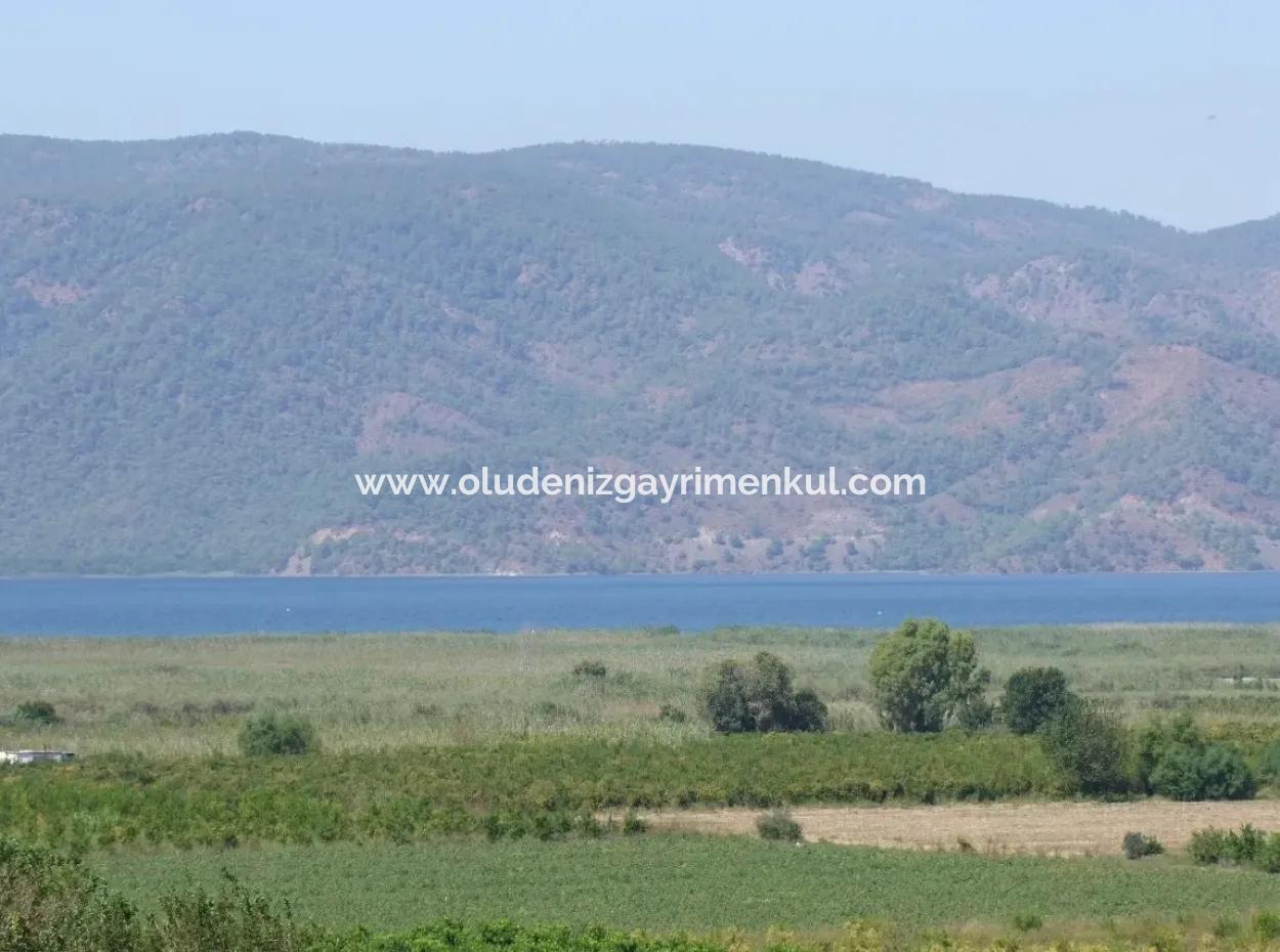 Bauernhof Zum Verkauf Bauernhof Zum Verkauf In Dalyan 73410M2