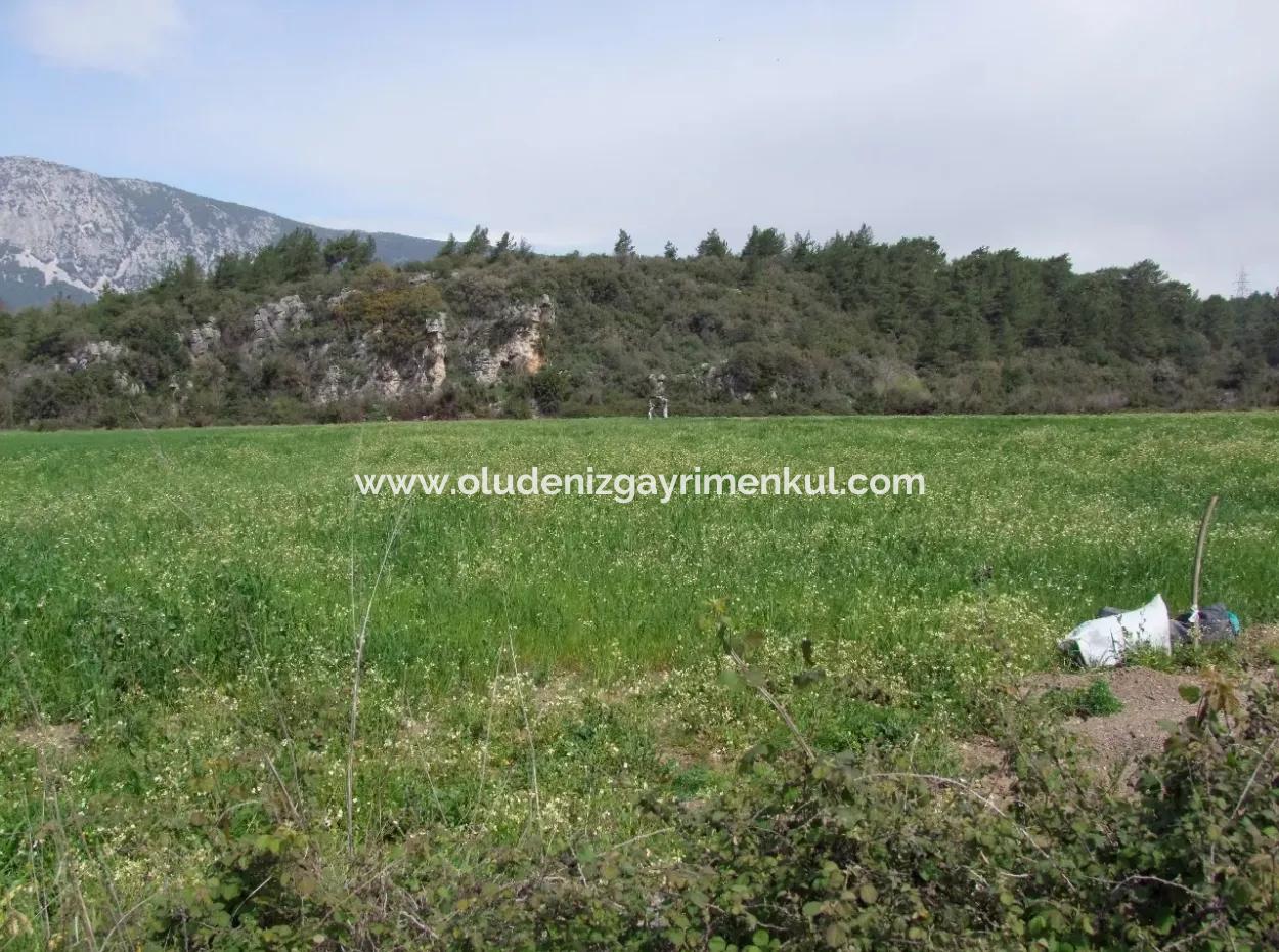 In Akyaka Zum Verkauf: Grundstück Zum Verkauf Bauernhof Zum Verkauf Einer Farm In Der Nähe Vom Meer, In Ars, Yatirimlik 21625M2