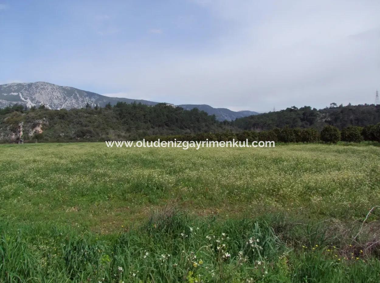 In Akyaka Zum Verkauf: Grundstück Zum Verkauf Bauernhof Zum Verkauf Einer Farm In Der Nähe Vom Meer, In Ars, Yatirimlik 21625M2