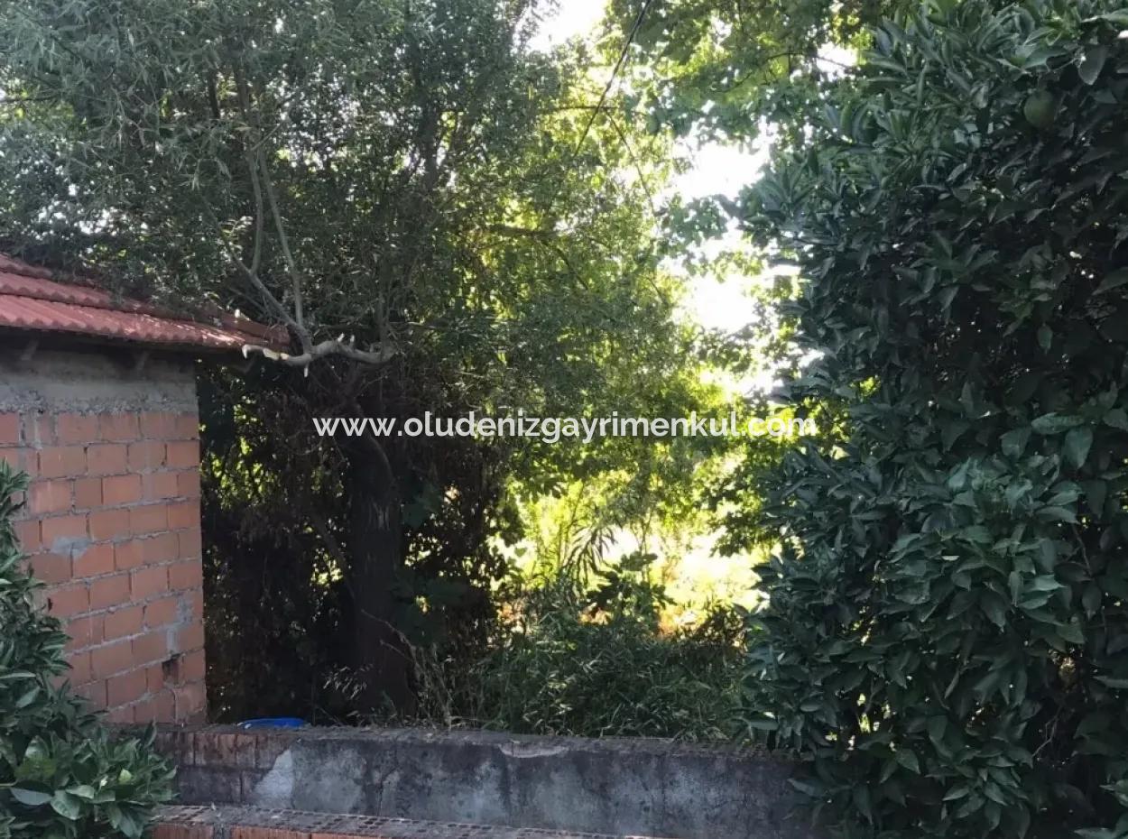 Garten Grundstück Mit Garten Zum Verkauf In Köyceğiz Zum Verkauf In Dogusbelen Dogusbelen Narenc