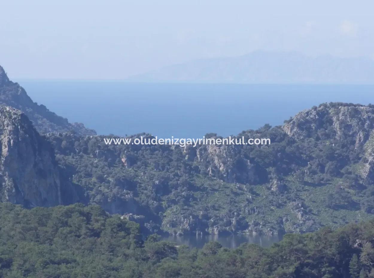 Landwirtschaftliche Grundstück Zum Verkauf Mit Meerblick Zum Verkauf In Gokbel