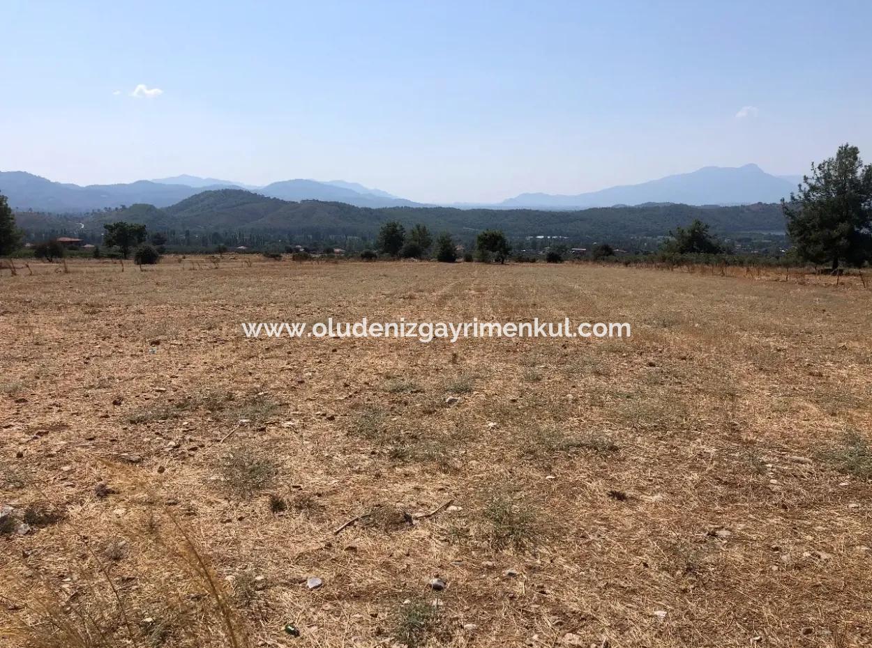 11.227M2 Grundstück Zum Verkauf Mit Seeblick In Köyceğiz Zeytinalan