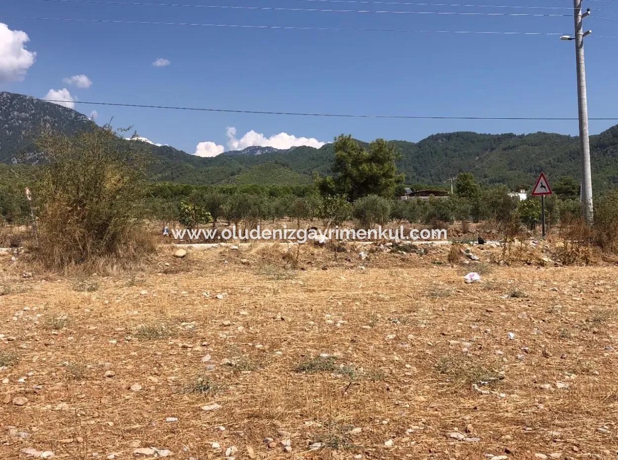 11.227M2 Grundstück Zum Verkauf Mit Seeblick In Köyceğiz Zeytinalan