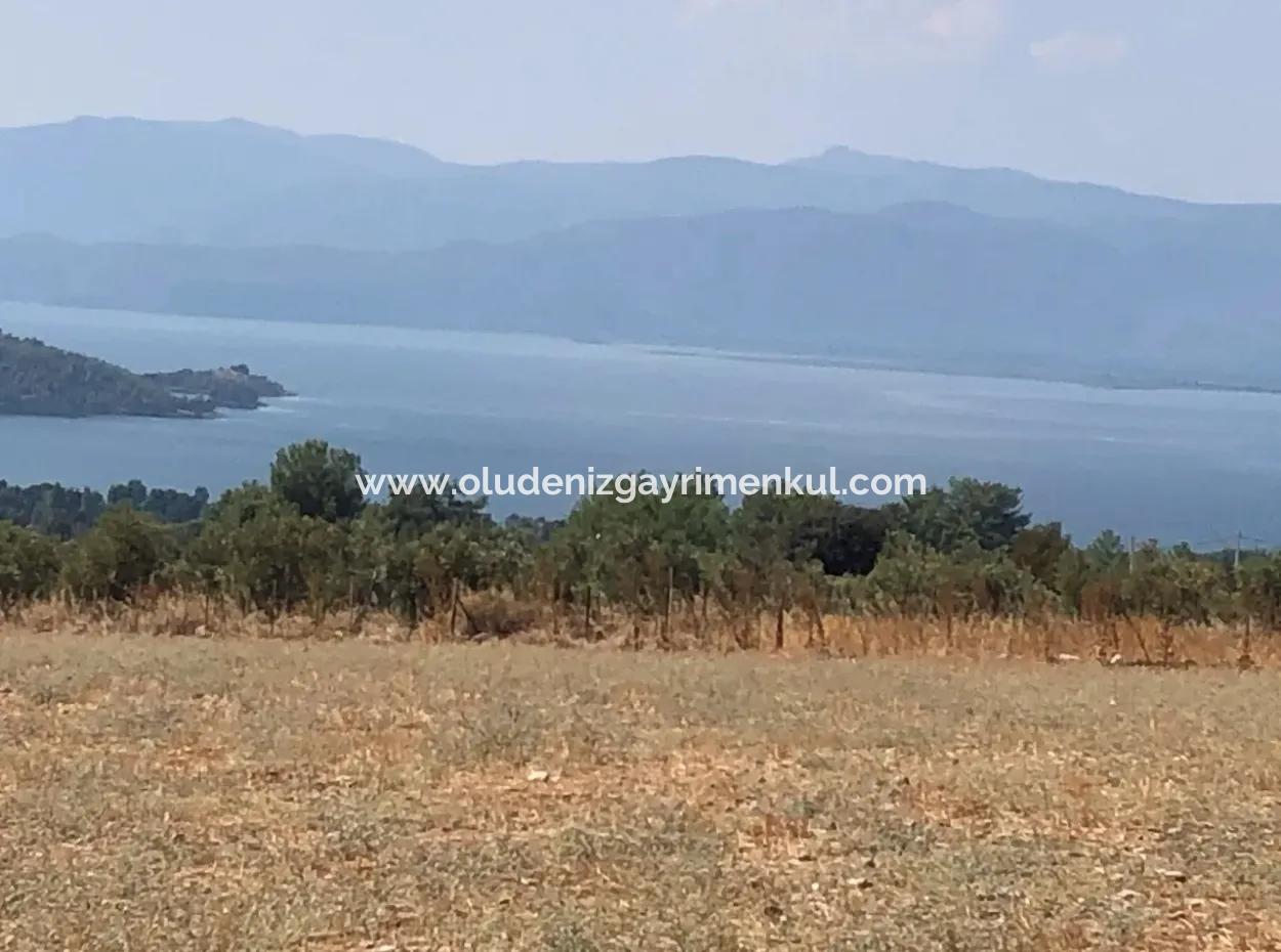 11.227M2 Grundstück Zum Verkauf Mit Seeblick In Köyceğiz Zeytinalan