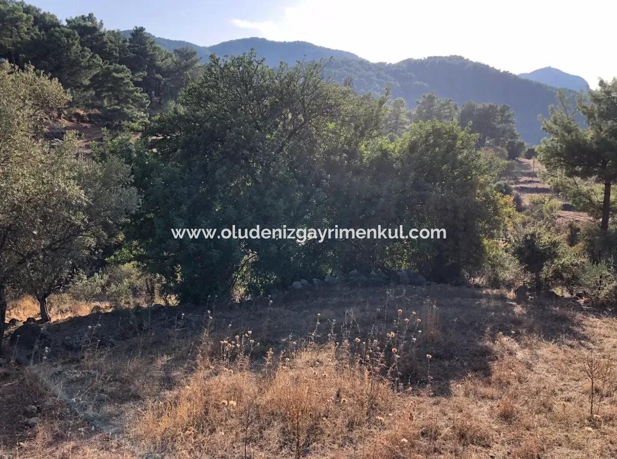 Gökbel Land Zu Verkaufen 1000M2 Land Zum Verkauf Mit Meerblick