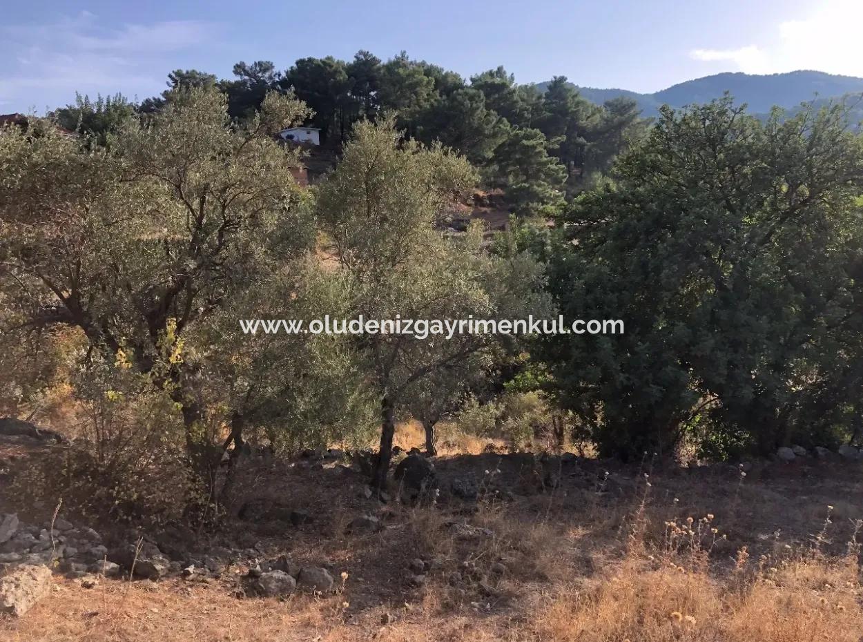 Gökbel Land Zu Verkaufen 1000M2 Land Zum Verkauf Mit Meerblick