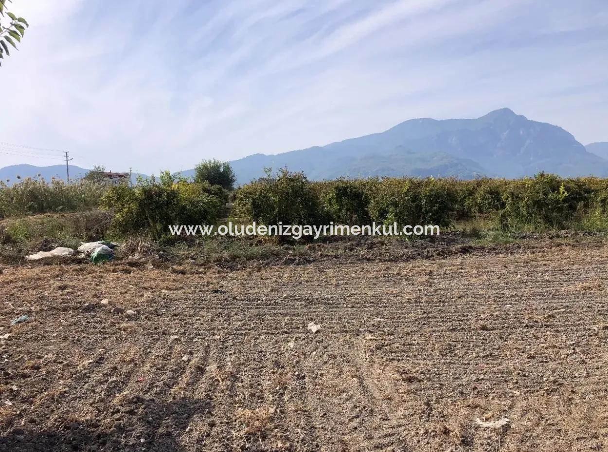 Ackerland Zu Verkaufen In Esköy 8500M2 Ackerland Zu Verkaufen