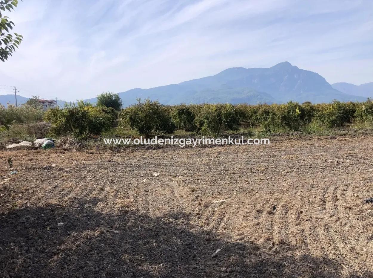 Ackerland Zu Verkaufen In Esköy 8500M2 Ackerland Zu Verkaufen