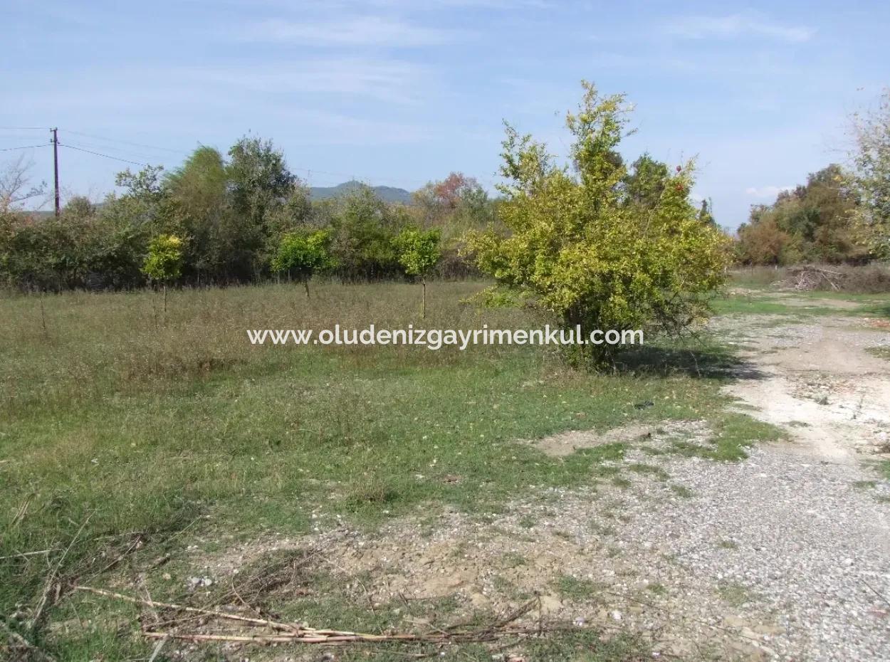 Grundstück Zu Verkaufen In Guzelyurt Land Zu Verkaufen Null 5515M2 Land Zum Verkauf An Der Hauptstraße