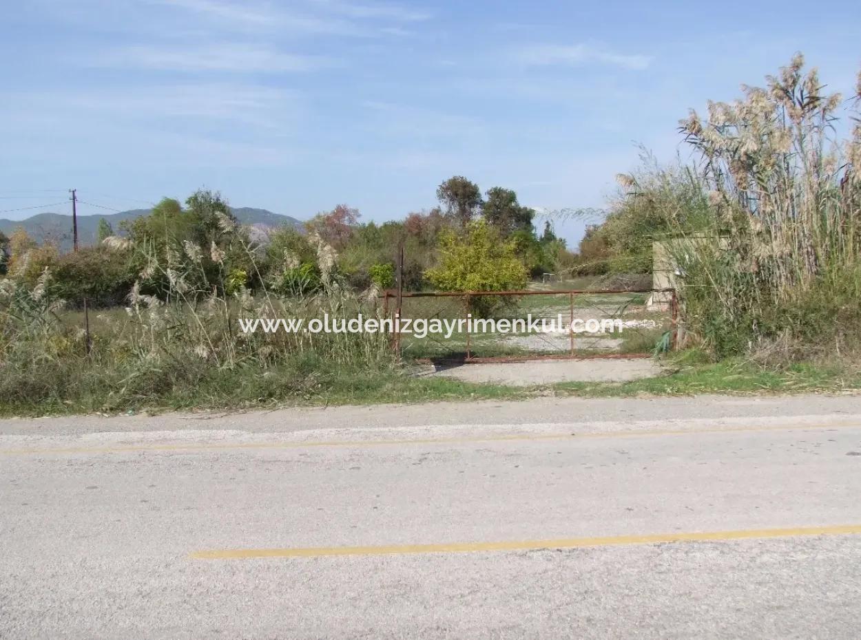Grundstück Zu Verkaufen In Guzelyurt Land Zu Verkaufen Null 5515M2 Land Zum Verkauf An Der Hauptstraße