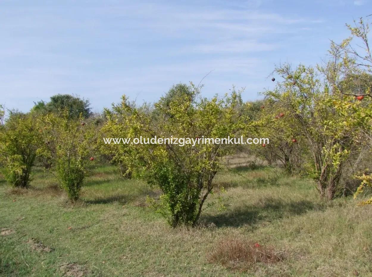 Güzelyurt Land Zu Verkaufen Dorf Gebaut 6670M2 Land Zum Verkauf
