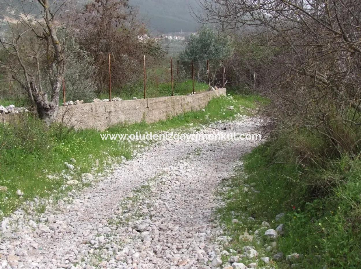 In Incirkoy Uzumlu Fethiye Grundstück Für Verkauf Bauernhof Zum Verkauf In Incirkoy