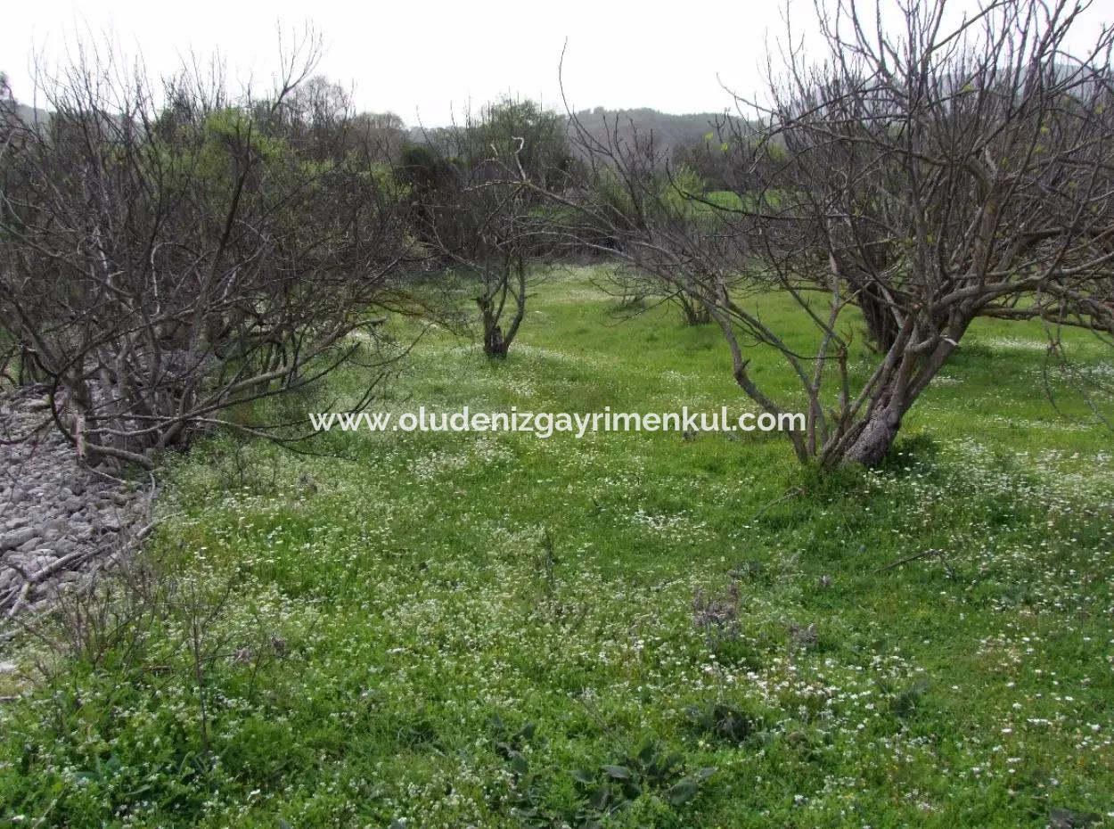 In Incirkoy Uzumlu Fethiye Grundstück Für Verkauf Bauernhof Zum Verkauf In Incirkoy
